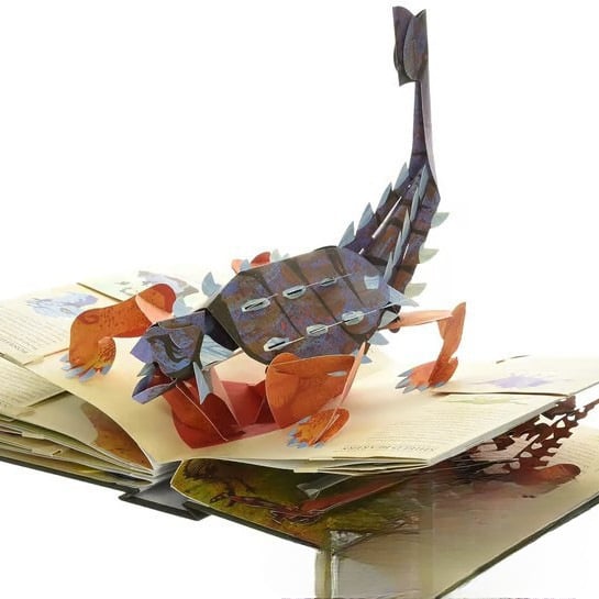 ⏰Weekly special sale: 60 per cent off🦖3D Encyclopaedia Prehistorica Dinosaurs📙HARDCOVE