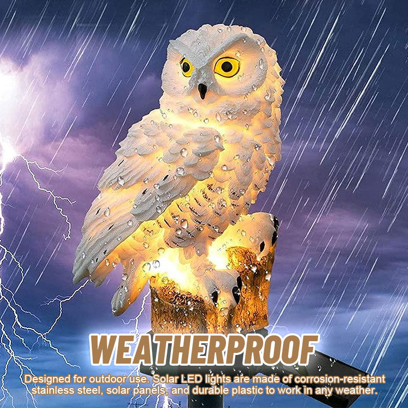 🔥Solar Owl Courtyard Lawn Garden Decorative Light