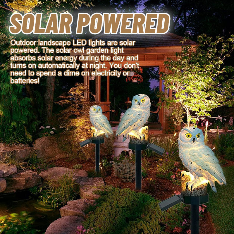 🔥Solar Owl Courtyard Lawn Garden Decorative Light