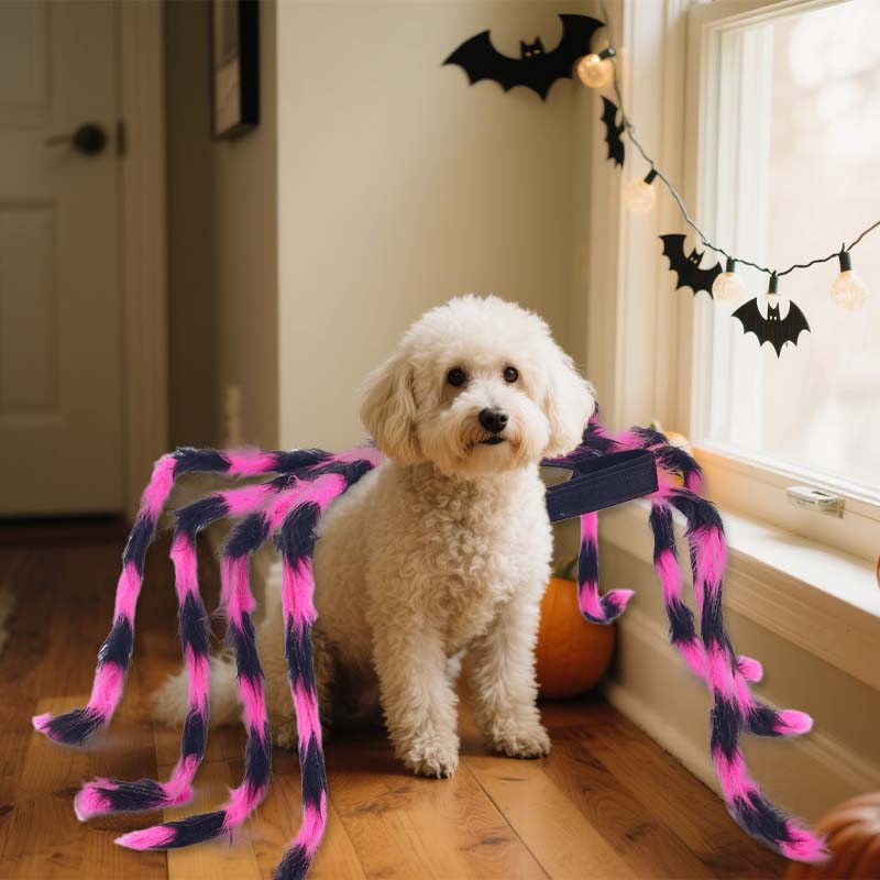 🕷️ Halloween Pet Spider Costume