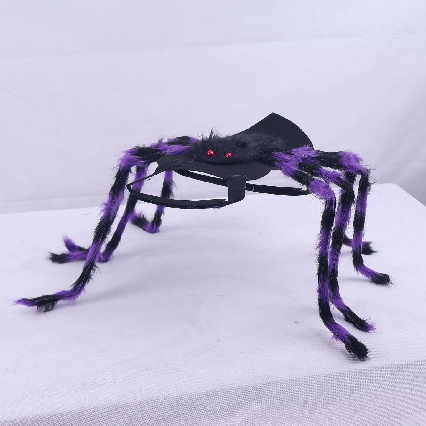 🕷️ Halloween Pet Spider Costume