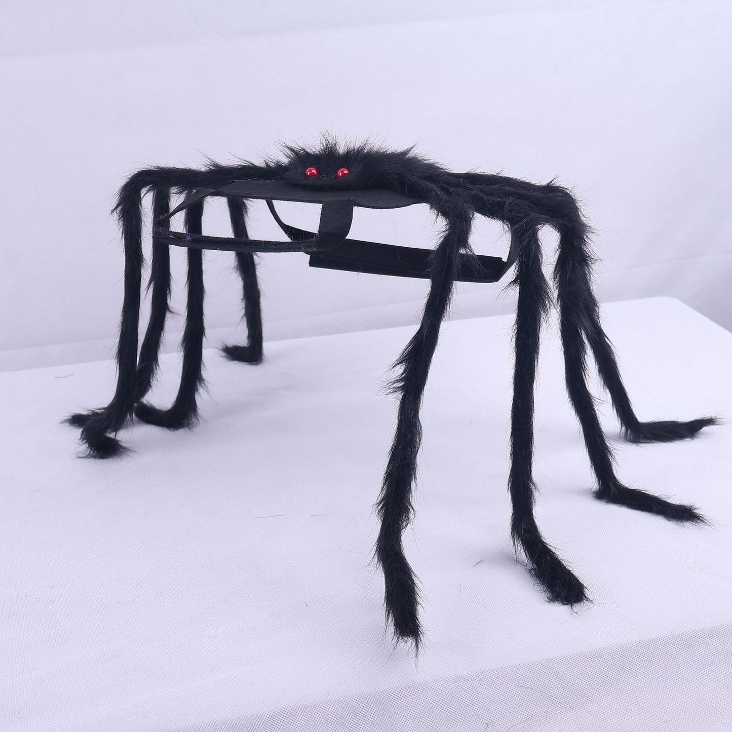 🕷️ Halloween Pet Spider Costume