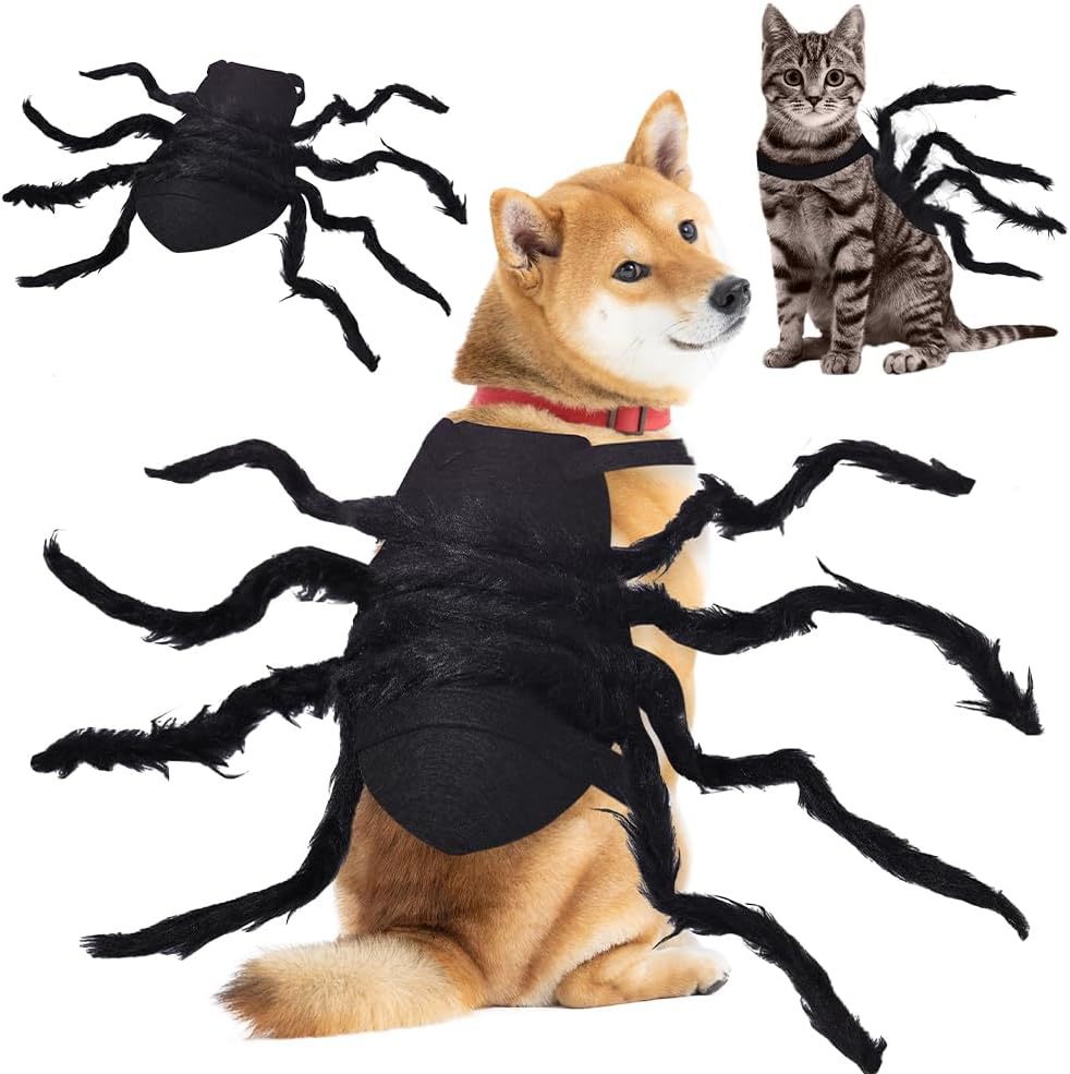 🕷️ Halloween Pet Spider Costume