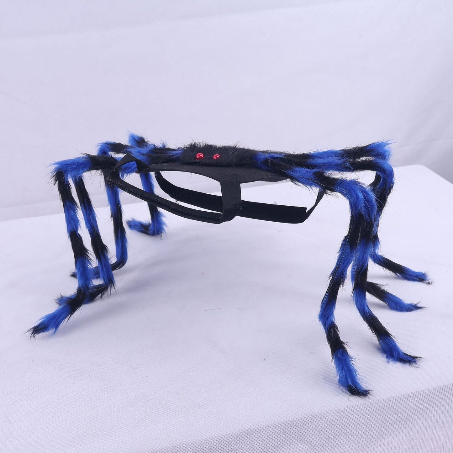 🕷️ Halloween Pet Spider Costume