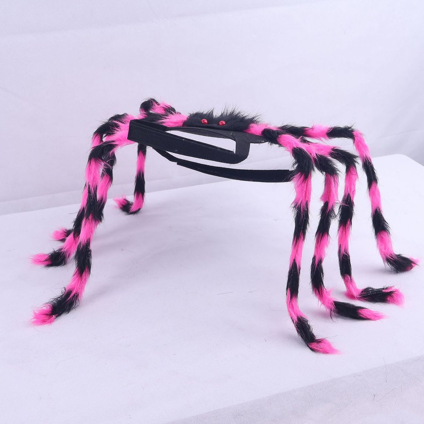 🕷️ Halloween Pet Spider Costume