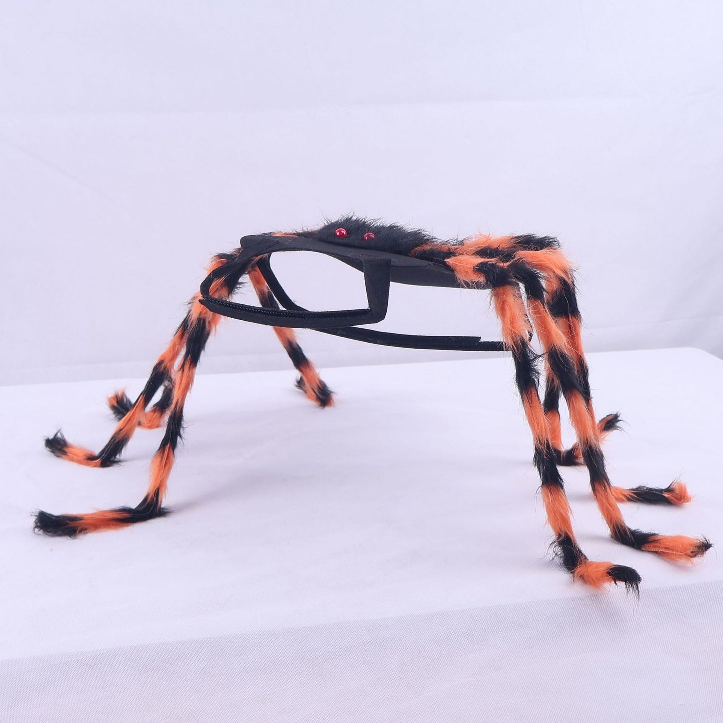 🕷️ Halloween Pet Spider Costume