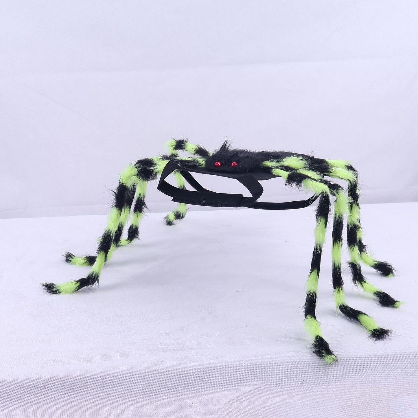 🕷️ Halloween Pet Spider Costume
