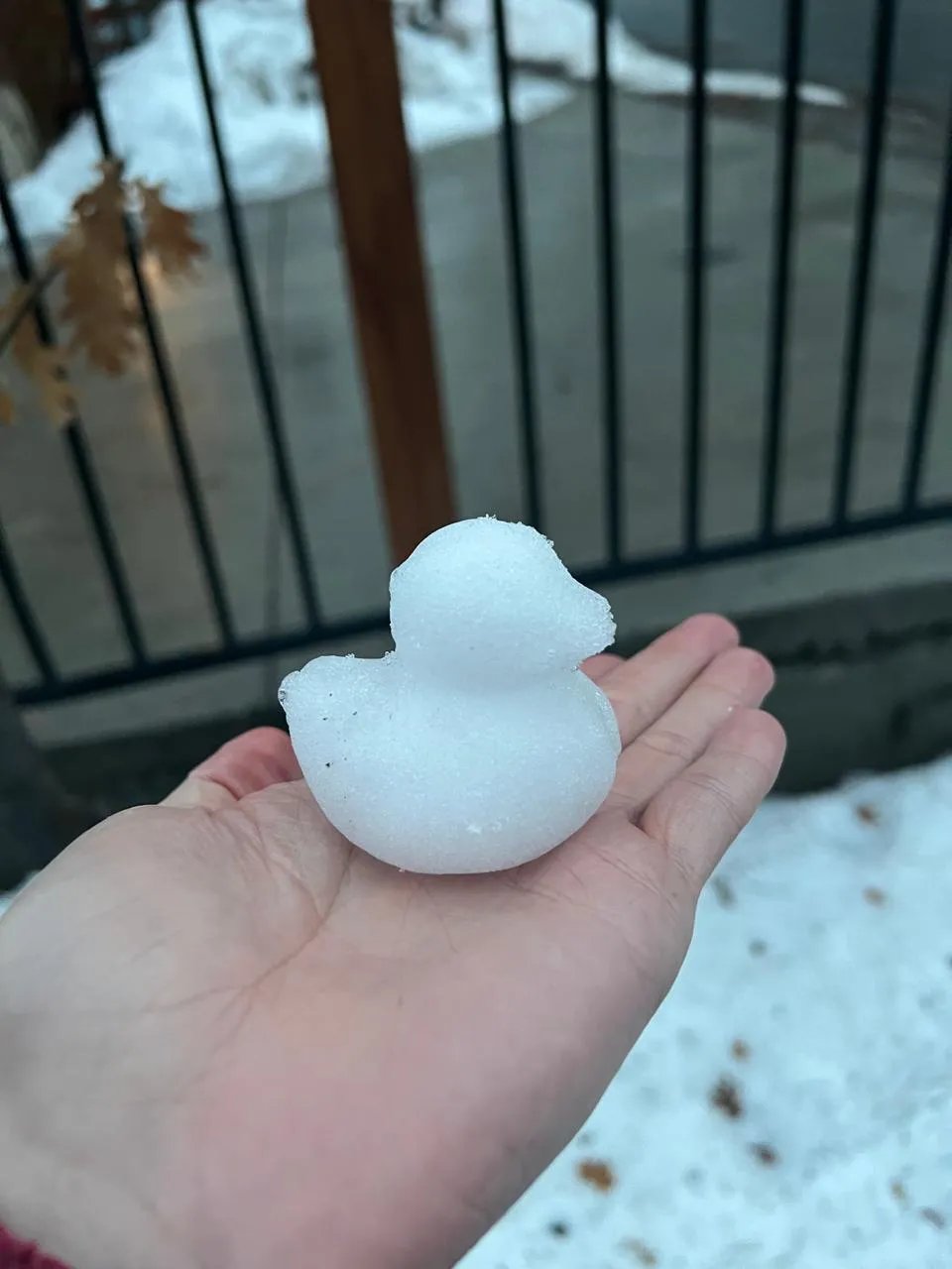 Snow Duck Mold Maker – Winter Outdoor Toy, Cute Duck-Shaped Snow Mold for Kids & Adults, Easy Snowball Press, Fun Winter Gifts