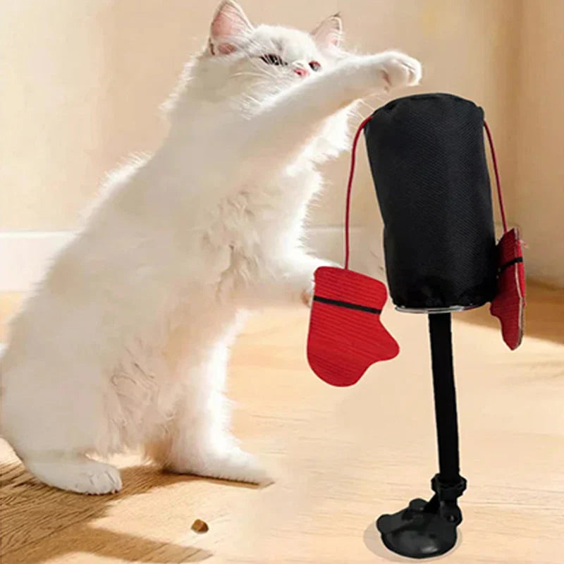 Interactive Boxing Ball For Cats