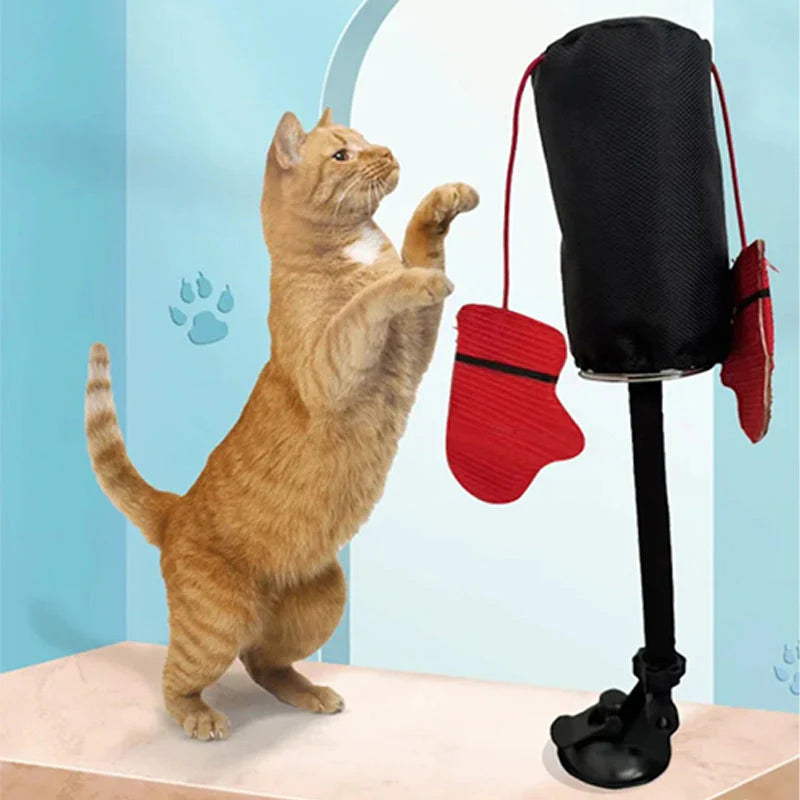 Interactive Boxing Ball For Cats