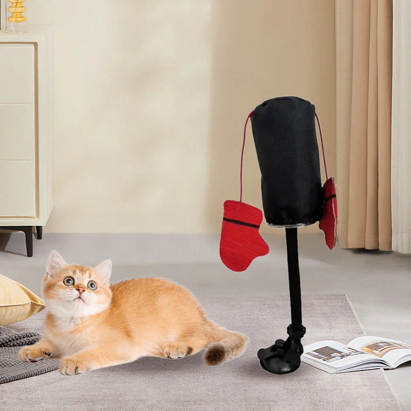 Interactive Boxing Ball For Cats