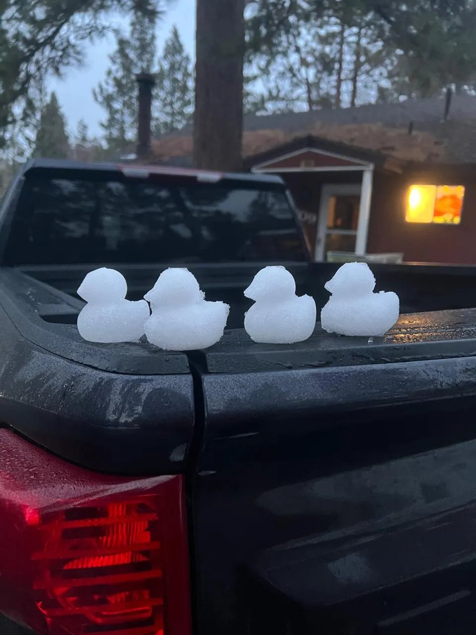 Snow Duck Mold Maker – Winter Outdoor Toy, Cute Duck-Shaped Snow Mold for Kids & Adults, Easy Snowball Press, Fun Winter Gifts