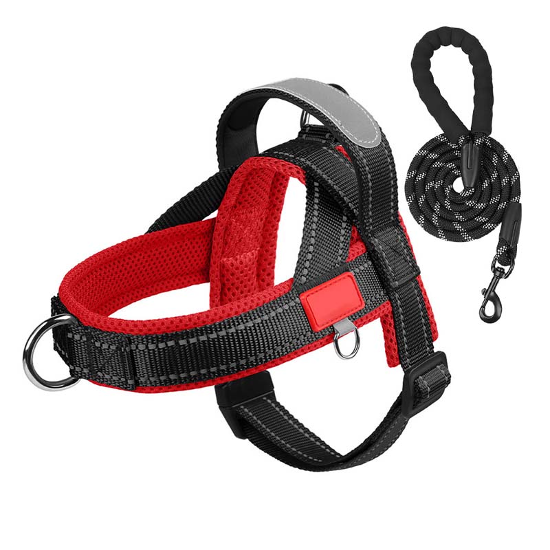 Dog harness + free leash 1.5 m x 1.0 m