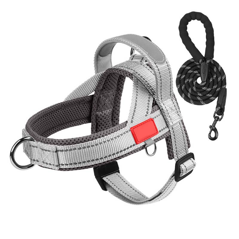 Dog harness + free leash 1.5 m x 1.0 m