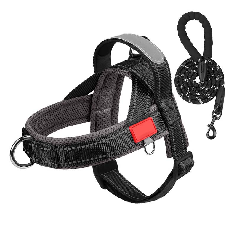 Dog harness + free leash 1.5 m x 1.0 m