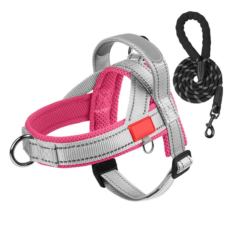 Dog harness + free leash 1.5 m x 1.0 m