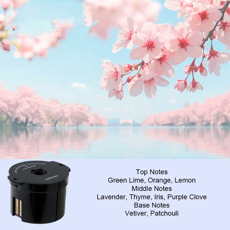 Car Aromatherapy Machine