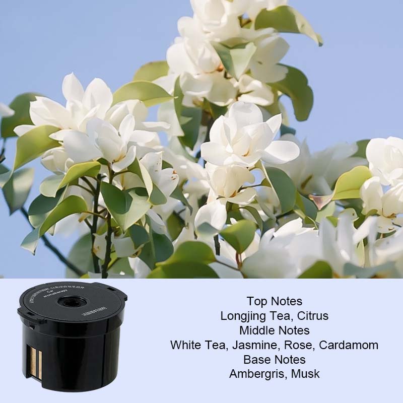 Car Aromatherapy Machine