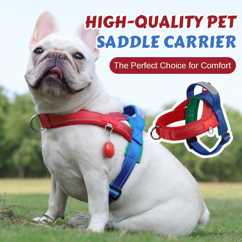 Dog harness + free leash 1.5 m x 1.0 m