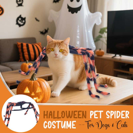 🕷️ Halloween Pet Spider Costume