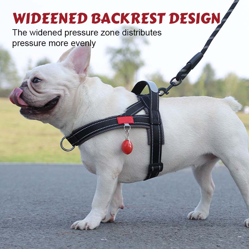 Dog harness + free leash 1.5 m x 1.0 m