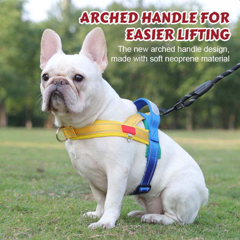 Dog harness + free leash 1.5 m x 1.0 m