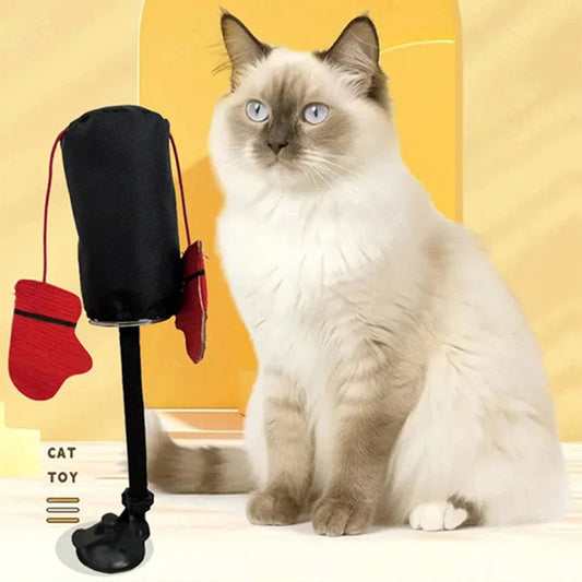 Interactive Boxing Ball For Cats