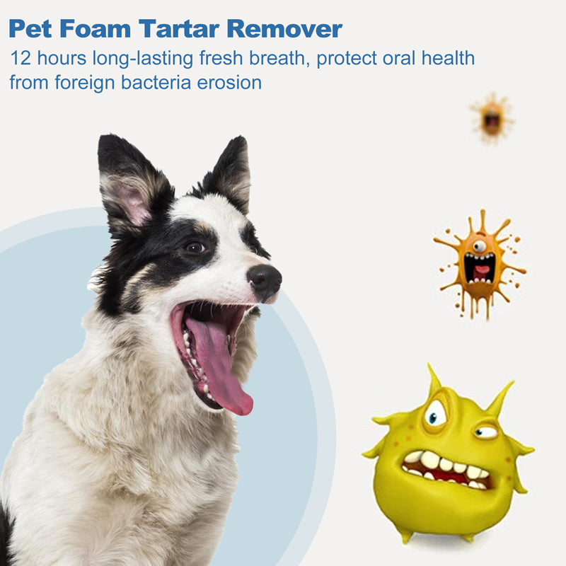 🌞Spring is in the air: Special offers!🐾 Foaming tartar remover for pets – Natural formula & easy to use